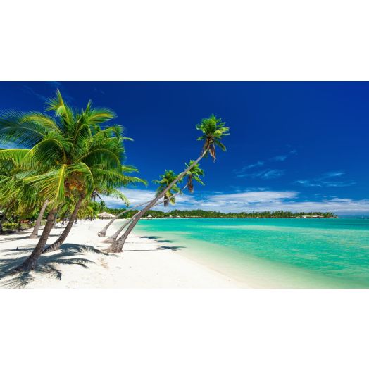 Lucy & Jordan Honeymoon Fund (Contribution)