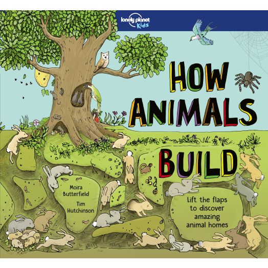 Lonely Planet How Animals Build